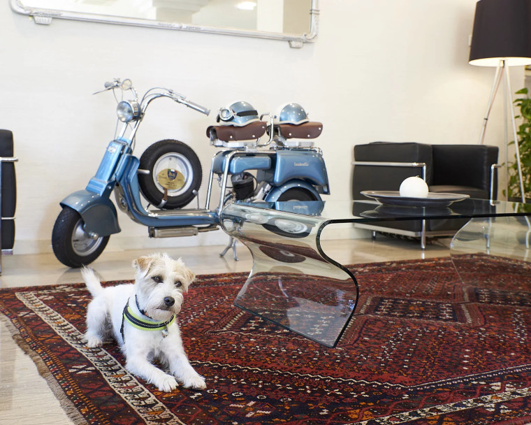 media.Slide-Pet-AliseiPalaceHotel-Rimini