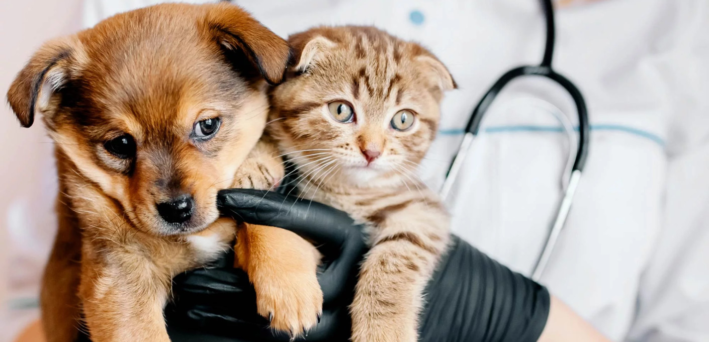 media.Offerta-Scivac-AliseiPalaceHotel-Rimini